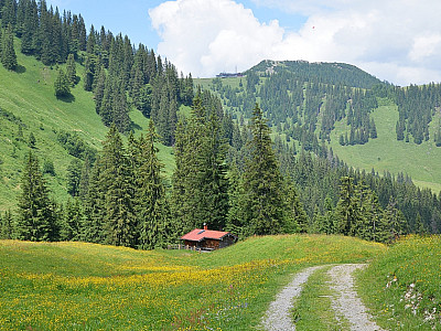 Bequem geht es über die Forststraße bergab