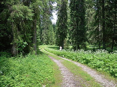 ... nach links verlassen