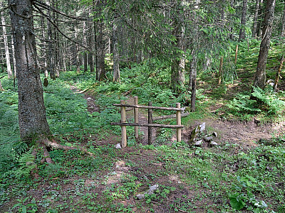 Der Durchlass am Ende der Lichtung