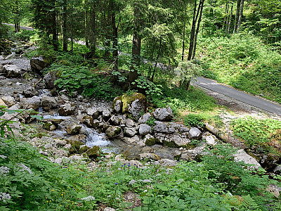 Hier überqueren wir den Röthensteingraben