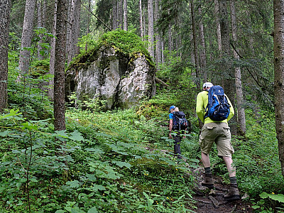 Im Wald wird es zunehmend felsiger