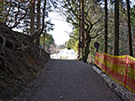 Nun lassen wir die Rodelbahn hinter uns...