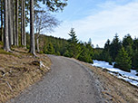 In nur mehr mäßiger Steigung wandern wir der Bergstation entgegen