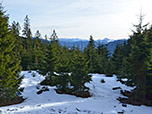Erste Ausblicke Richtung Karwendel