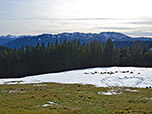 Blick zur Benediktenwand