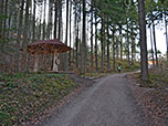 ...wandern wir durch den Wald weiter bergauf, ...