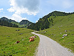 Wir folgen weiter dem Fahrweg...