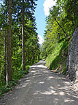 ...und wandern durch das Dürnbachtal hinauf...