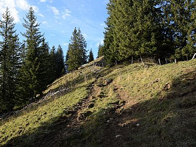 Allmählich wird der Weg wieder einfacher...