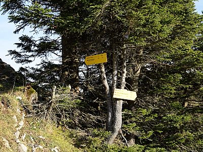 Hier biegen wir im Abstieg nach Osten ab.