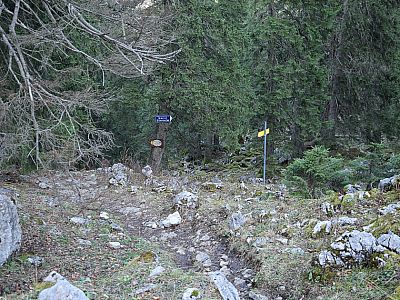 Hier biegen wir rechts ab 