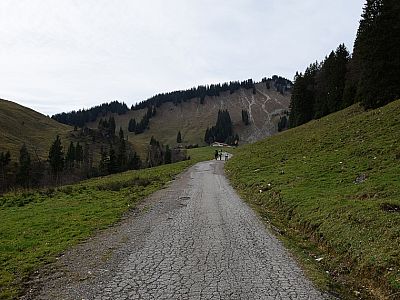 ... wandern wir der Unteren Firstalm entgegen.