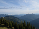 Österreichischer und Bayerischer Schinder im Süden