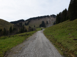 ... wandern wir der Unteren Firstalm entgegen.