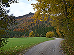 Von Innerwald folgen wir dem Forstweg...