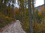 Ein schottriger Forstweg...