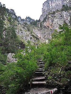 Eine Treppe hinauf