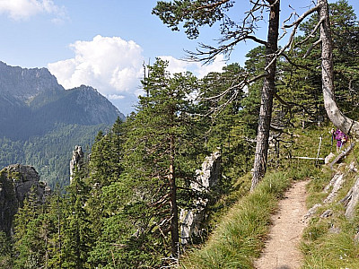 Auf interessanten Pfaden