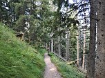 Gemütlich geht es durch den Wald