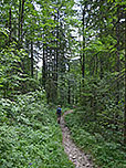 Parallel zum Bachlauf...
