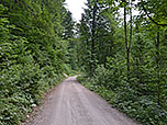 ...und zurück zum Fahrweg