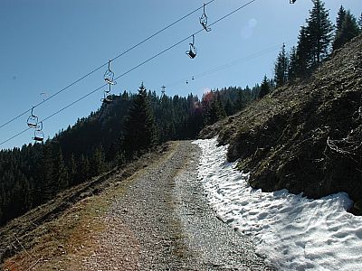 Meter um Meter kämpfen wir uns die steile Forststraße hoch