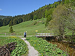 ...und wir treffen auf einen breiten Fahrweg, ...