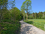 ...gewinnen wir über den breiten Wanderweg die ersten Höhenmeter