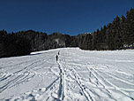 ...des Draxlhangs hinauf zum Waldrand