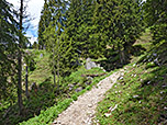 Wir wandern in ein Waldstück hinein, ...