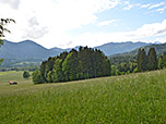 Erste Ausblicke