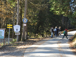 ...über eine Forststraße steigen wir bergauf