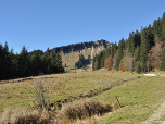 Über Almwiesen wandern wir zu Unteren Firstalm