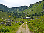 Am Abzweig vor der Erhardalm...