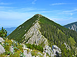 Blick über den Südwestgrat zum Gipfel der Brecherspitz