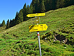 Beim Wegweiser oberhalb der Breiteggalm...