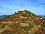 Blick zurück zum Gipfel der Breiteggspitze