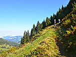 In Serpentinen schlängelt sich der Weg aufwärts