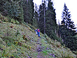Der Weg führt abwechselnd durch Wald und über freie Wiesen