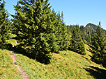 Weiterweg über den Rücken
