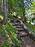 Zunächst durchwandern wir schattigen Bergwald