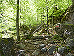 ...durchqueren wir ein Waldstück mit großen Felsblöcken...