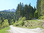 ...zu einem Querweg
