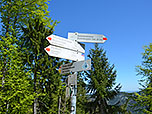 Wir schlagen den Weg zum Breitenberg ein...