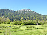 ...schlagen wir den Wiesenweg...