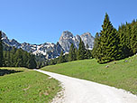 Der Wald zieht sich zurück und gibt den Blick auf den Aggenstein frei