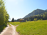 Kurze Zeit später verlassen nwir den Wald...