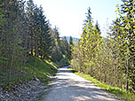 ...und erreichen einen breiteren Fahrweg
