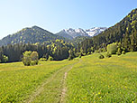 ...und spazieren über einen Karrenweg in Richtung Reichenbachklamm