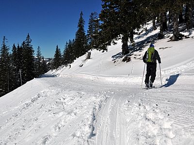 Auf einer Höhe von ca. 1630 Metern kreuzen wir die Rodelbahn